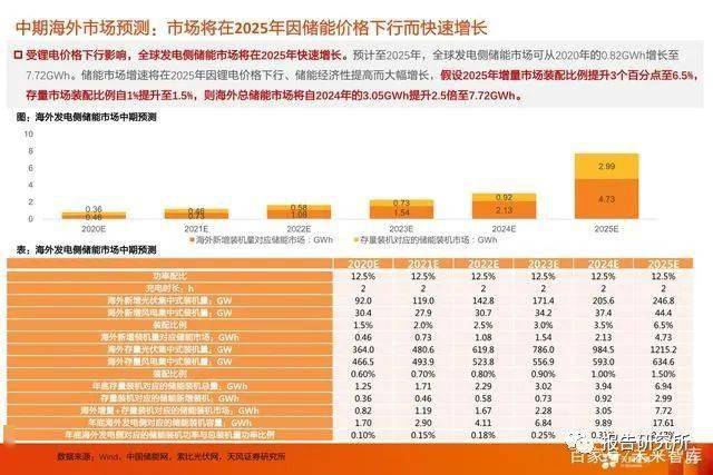 2024年新奥门王中王开奖结果,经济性执行方案剖析_专属版94.437