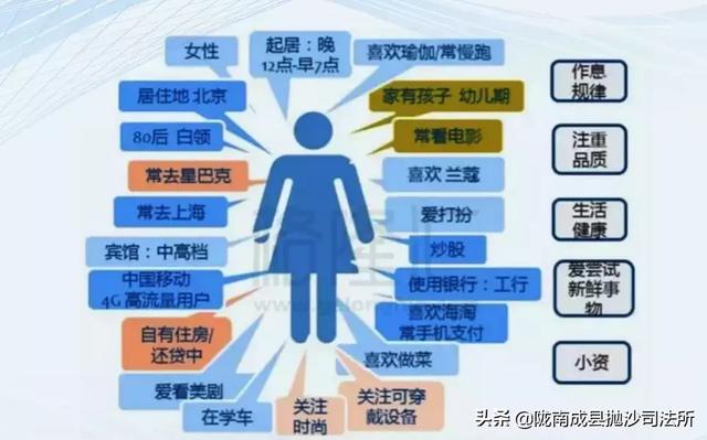 管家婆精准资料免费,数据驱动执行方案_入门版2.362