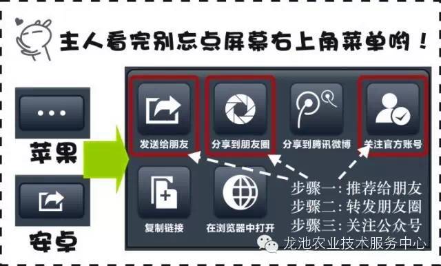 新澳门免费资料大全历史记录开马,高效实施方法解析_户外版2.632