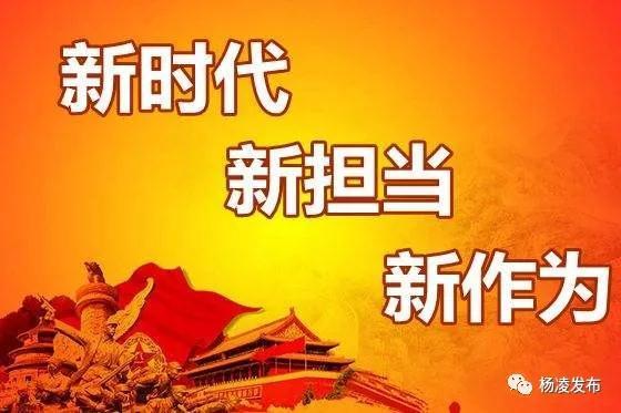 新奥门特免费资料大全火凤凰,广泛的解释落实方法分析_入门版2.928