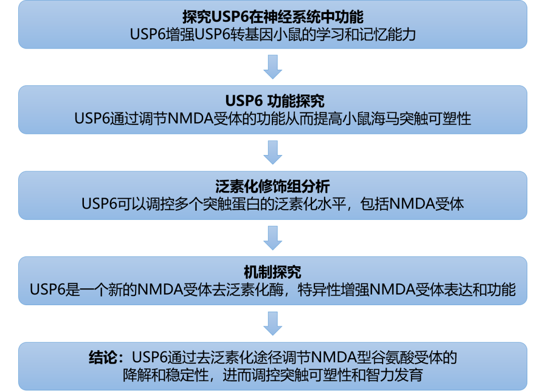 2024年最新奥马免费资料,全局性策略实施协调_特别版2.336