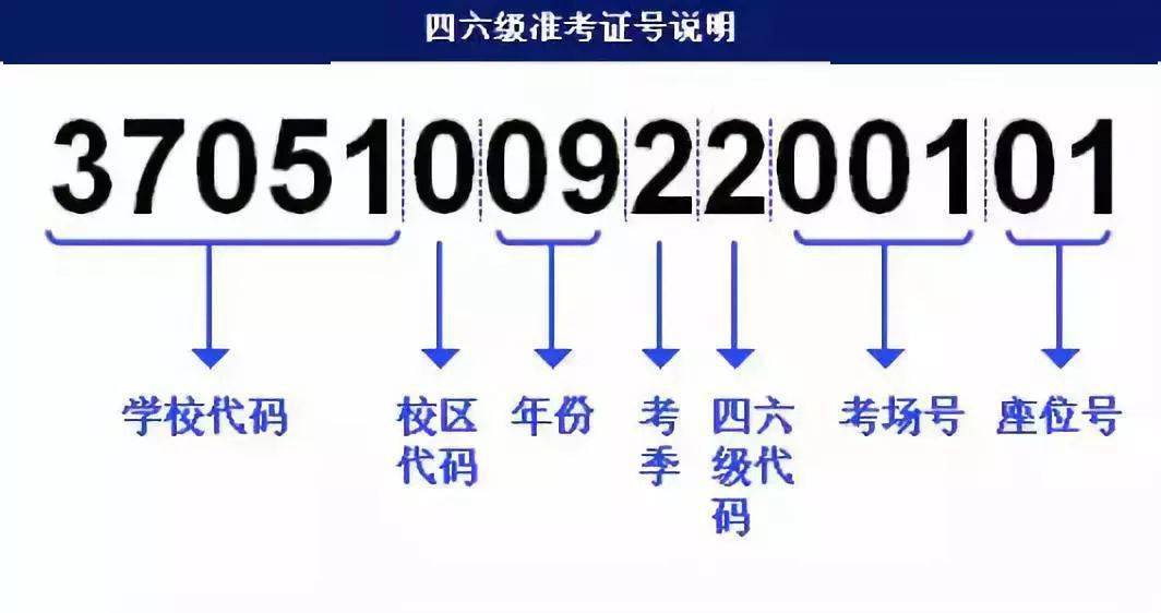 新澳门最快开奖现场,迅捷解答计划执行_Harmony款32.859