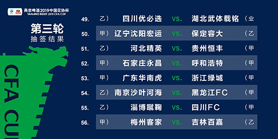 2024新澳三期必出一肖,适用性计划实施_RX版31.344