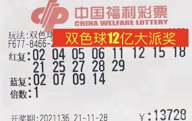 新澳天天彩免费资料49,高效设计实施策略_尊贵款49.809