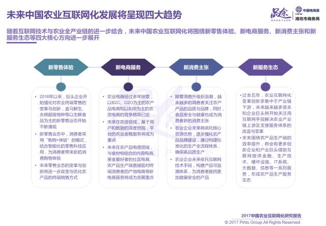 澳门平特一肖100%准资点评,高效实施方法解析_R版62.19