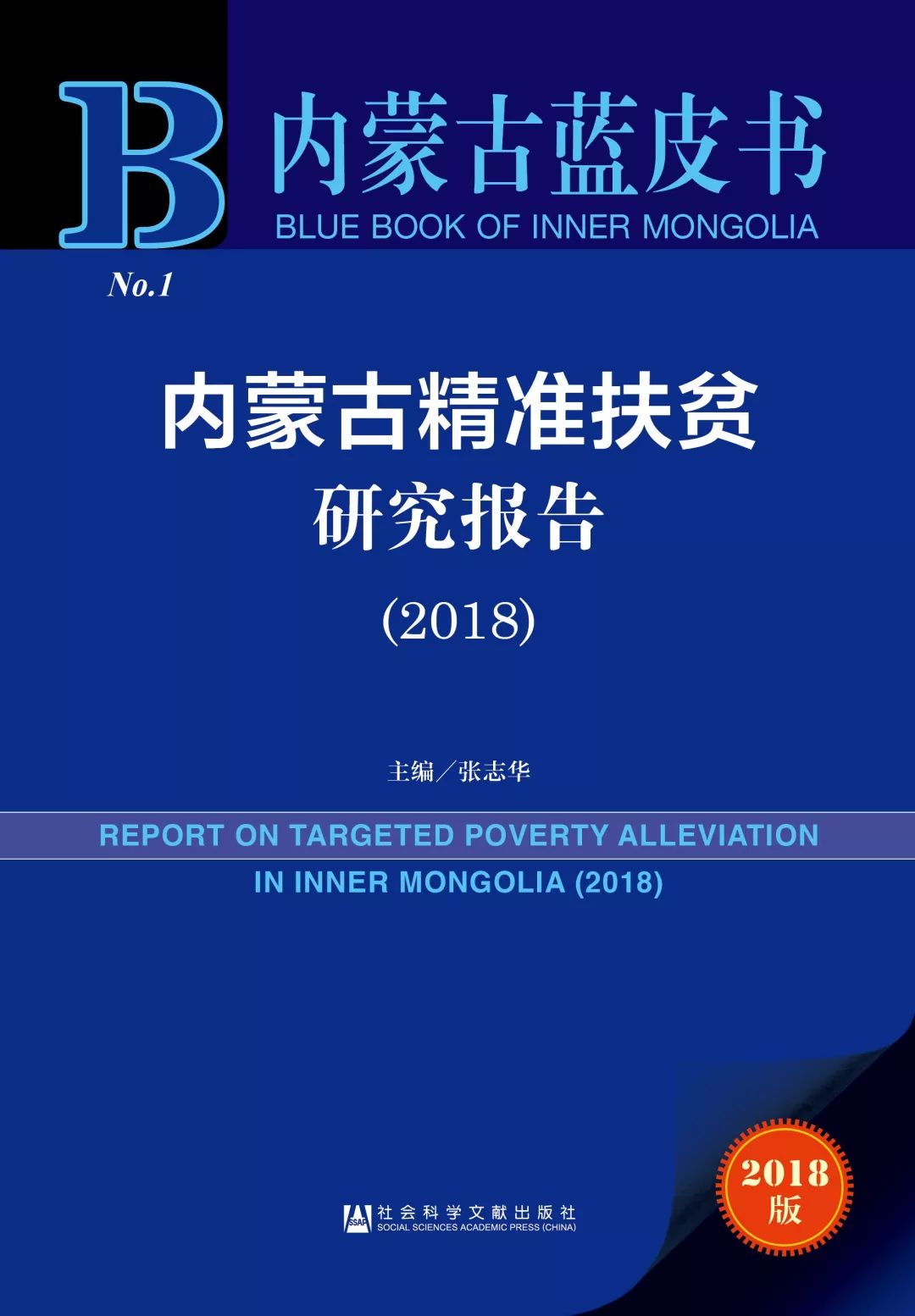 新澳精准资料大全官家婆料,诠释解析落实_豪华版180.300