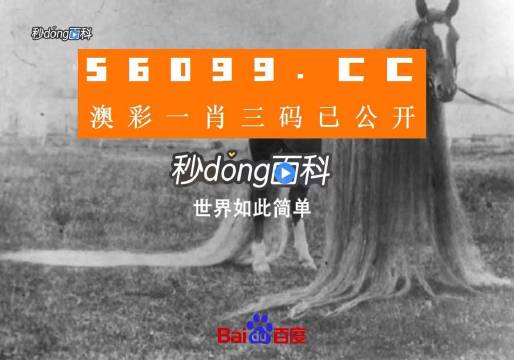 澳门一肖一码一必中一肖同舟前进,实地验证策略_DP34.690