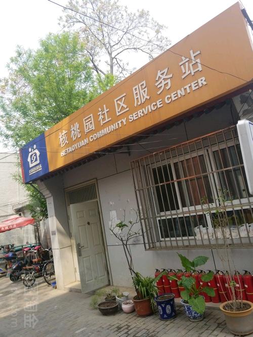 桃林路社区居委会招聘启事全新发布