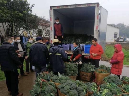 南京龙潭物流园交通动态，物流枢纽焕发新活力