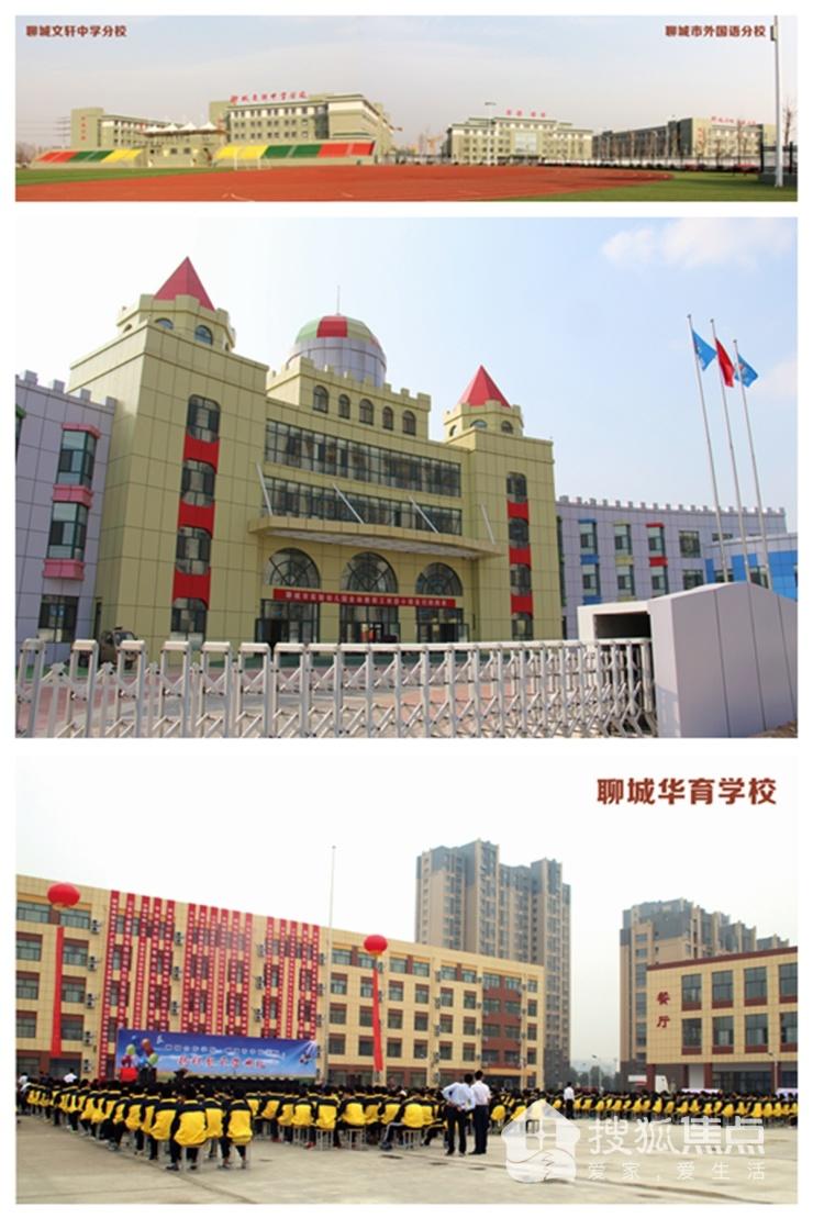 阳明区小学最新动态报道