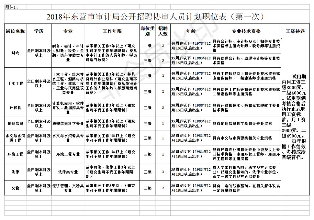 大悟县审计局最新招聘公告详解