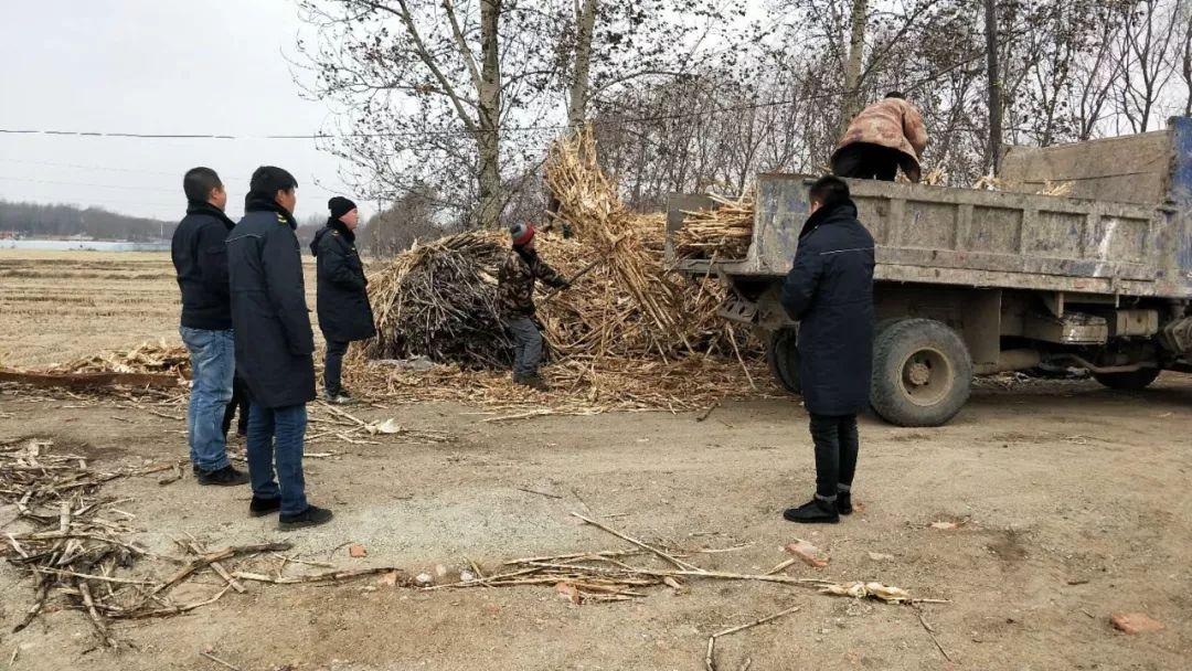 双阳区住房和城乡建设局项目最新进展报告概览