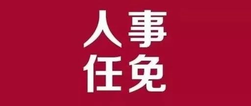 武平县审计局人事任命推动审计事业迈上新台阶