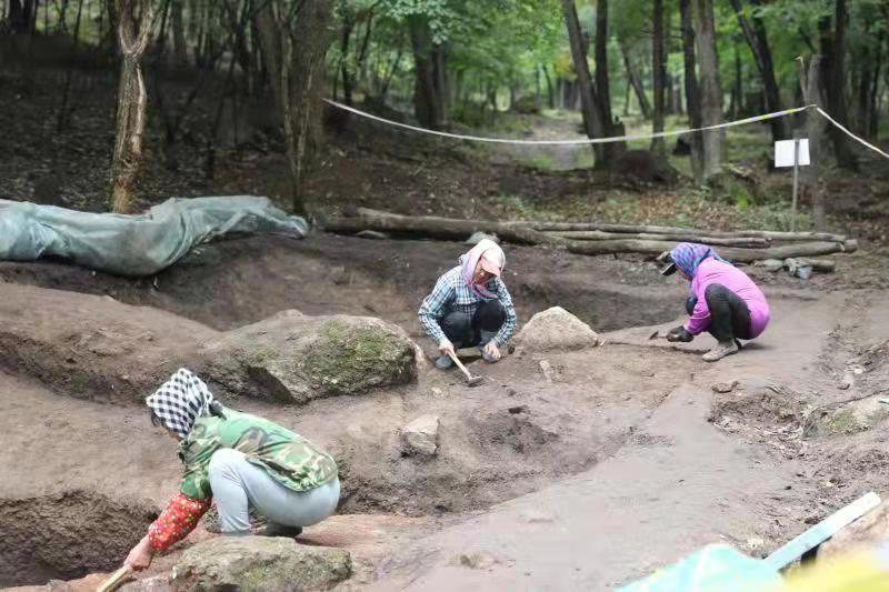 磐石市文化广电体育和旅游局推动文旅融合助力城市繁荣新篇章