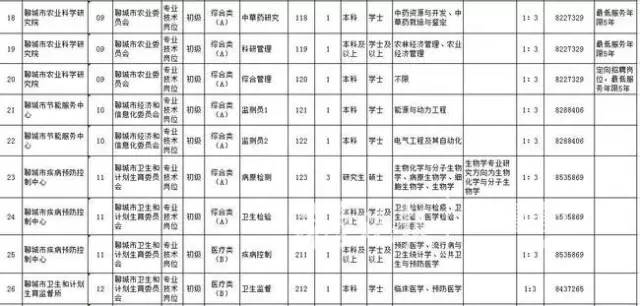 聊城市劳动和社会保障局最新招聘信息全面解析