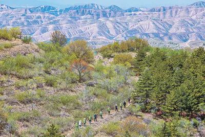 克山县北联林场最新新闻动态报道