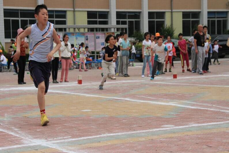 莱州市小学创新项目，引领教育未来，塑造明日之光之星计划