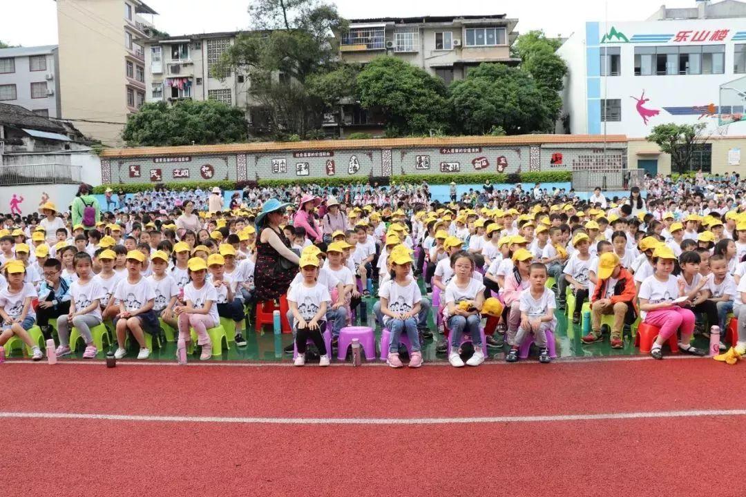 平山县小学发展规划概览