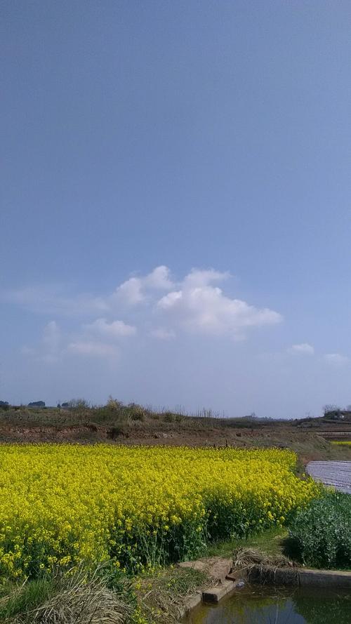 白驹镇天气预报更新通知