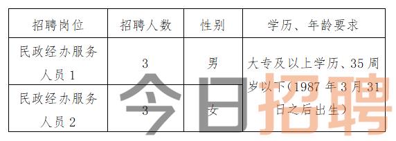 怒江傈僳族自治州市国家税务局招聘启事