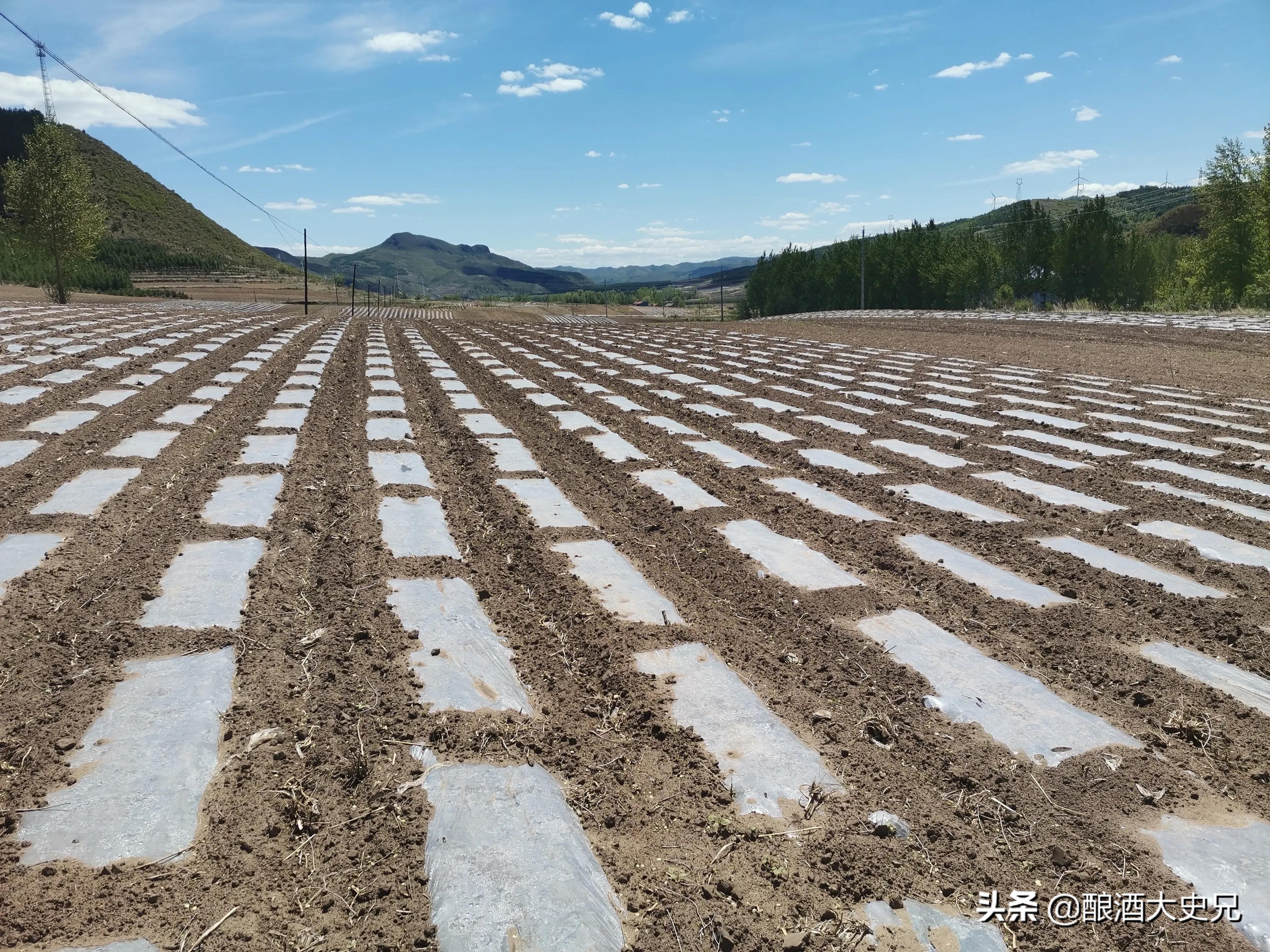 大头山乡最新交通动态报道