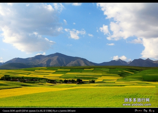 门源回族自治县文化广电体育和旅游局人事任命动态更新