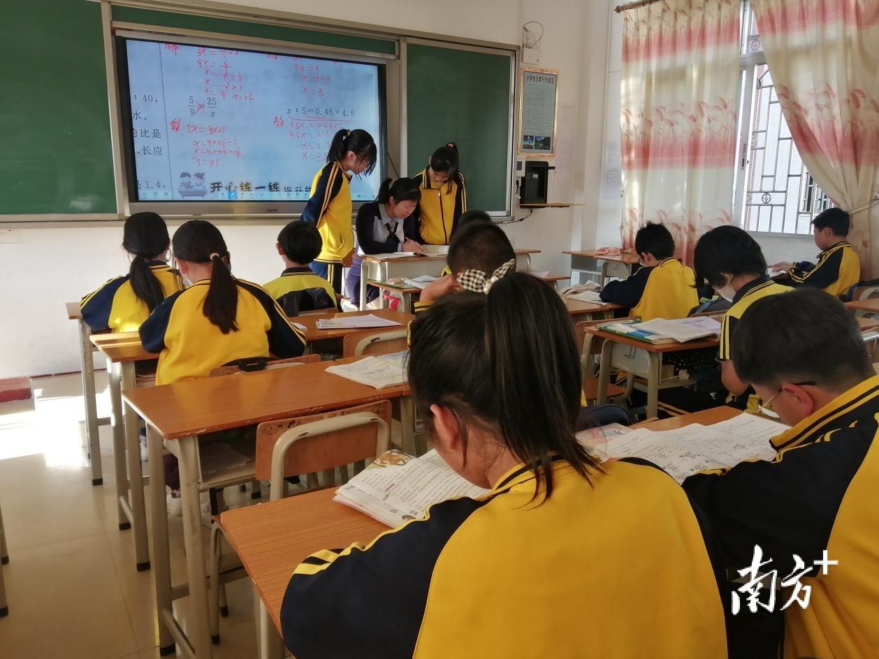 东兴市小学最新动态报道