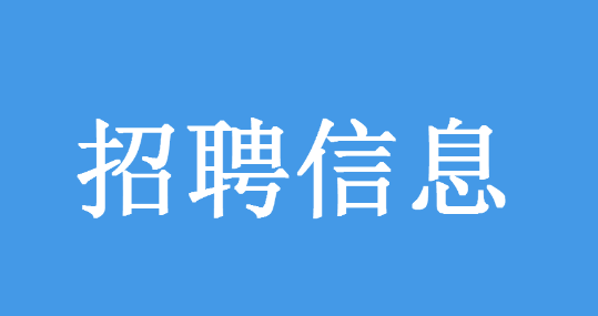 地都镇最新招聘信息详解与深度解读