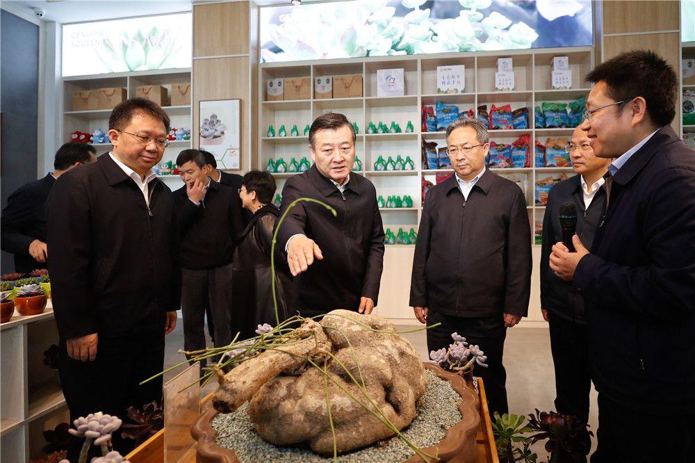 曹集镇最新项目，引领地区发展新引擎