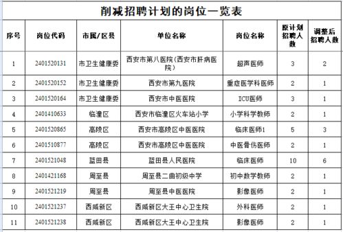 大观区公路运输管理事业单位最新项目，推动区域交通发展迈向新高度