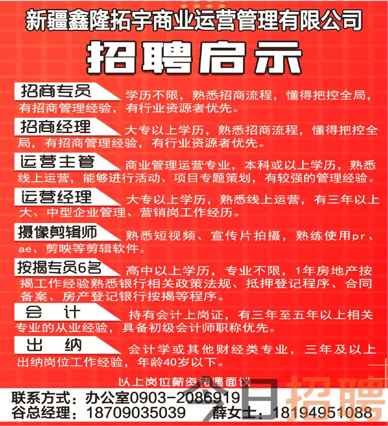 新疆招聘网最新招聘动态深度解读与解析