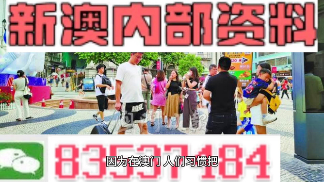 2024澳门精准正版,动态解读说明_网红版17.147