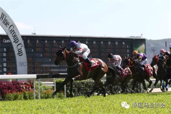 春风化雨 第5页