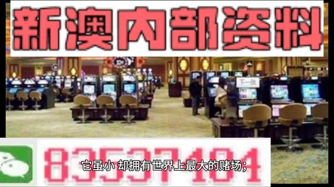 2024新澳门正版免费资料,动态解释词汇_复古版12.440