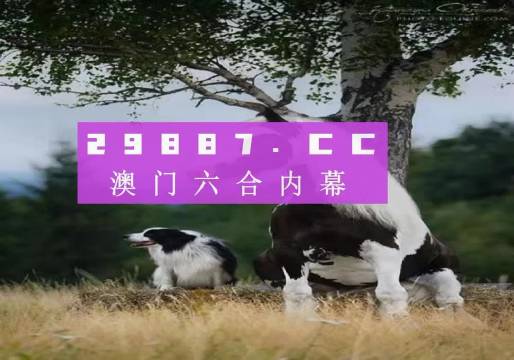 澳门2024免费跑狗图,调整计划执行细节_RX版90.619