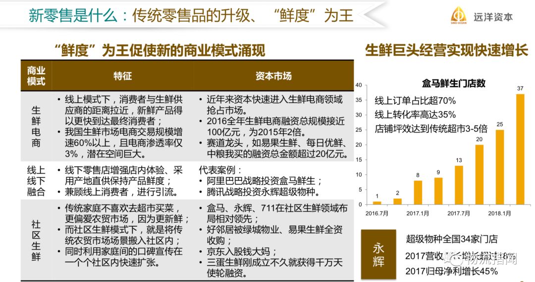 2024特马今晚开奖,数据驱动执行方案_投资版81.936