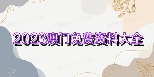 2023年正版资料免费大全,全面解析说明_UHD款70.509