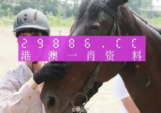 今晚澳门必中一肖一码适囗务目,可靠研究解释定义_专家版62.177