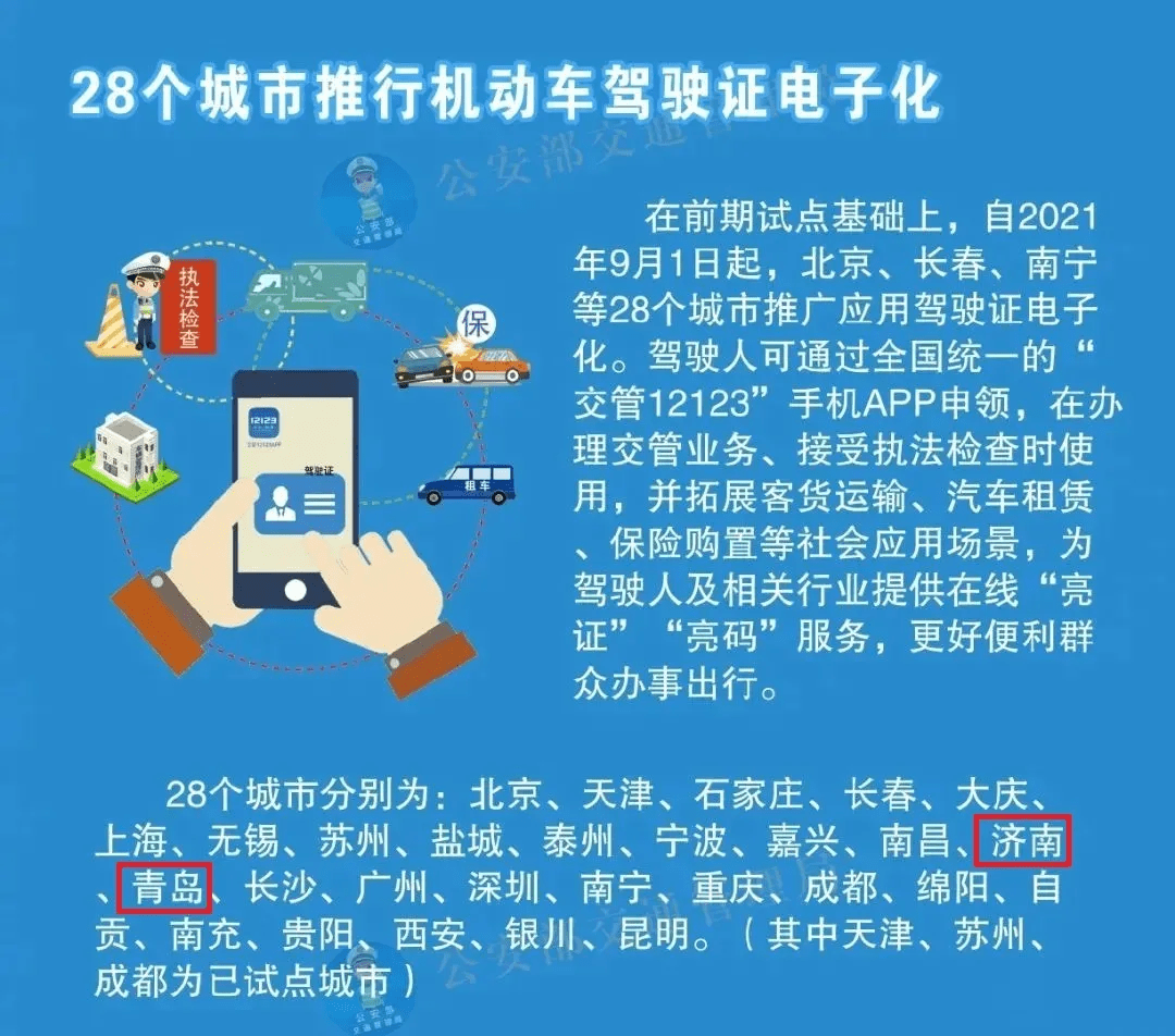 澳门正版精准免费大全,适用实施策略_nShop52.175