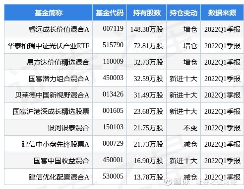 任向敏最新持股概览，深度探究、展望未来发展前景