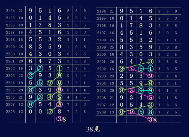 澳门王中王六码新澳门,专业分析解释定义_微型版13.42