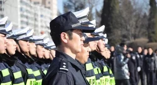 浙江辅警改革最新动态深度解读