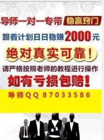 澳门天天开彩期期精准,实践性方案设计_The80.486