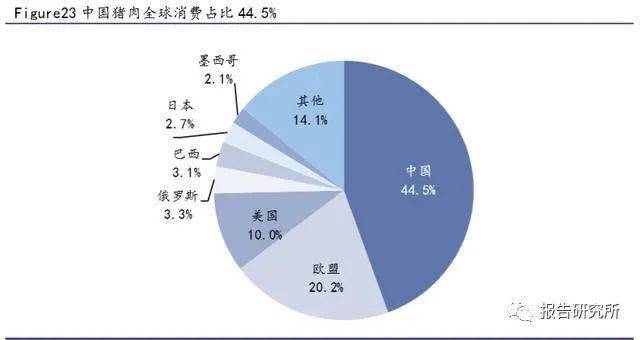 郑钦文,创造历史!,全面分析数据执行_3K59.180