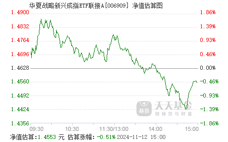 深度解析，今日最新关于基金净值查询——聚焦000979基金净值