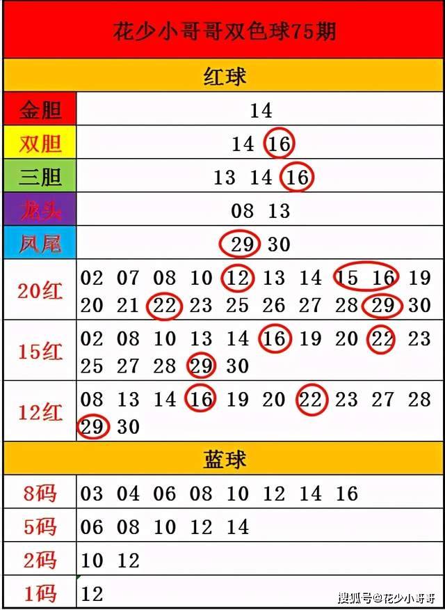 白小姐今晚特马期期准六,深入数据解析策略_XT75.775