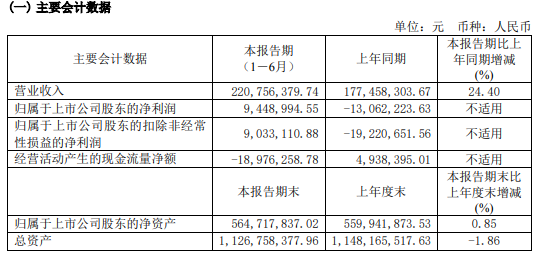 新澳2024今晚开奖结果,稳定性执行计划_界面版22.944