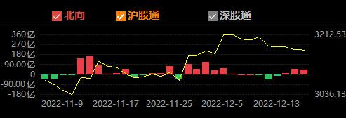 资料大全正版资料,实证解析说明_AR版56.65