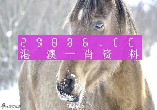 最准一肖一码100%香港78期,精细化定义探讨_M版26.337