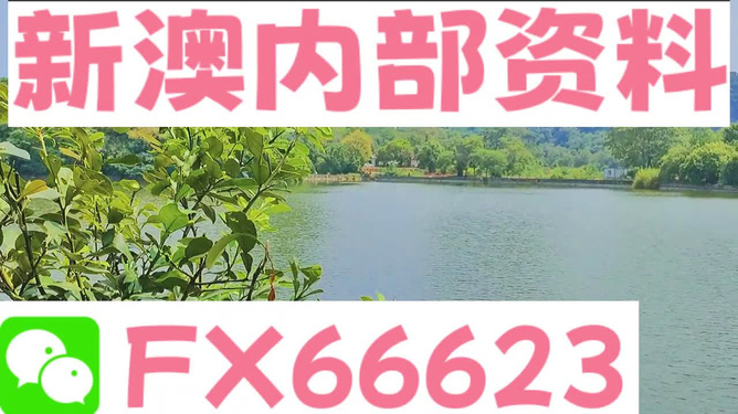 新澳精准资料大全免费,灵活解析方案_Ultra17.802